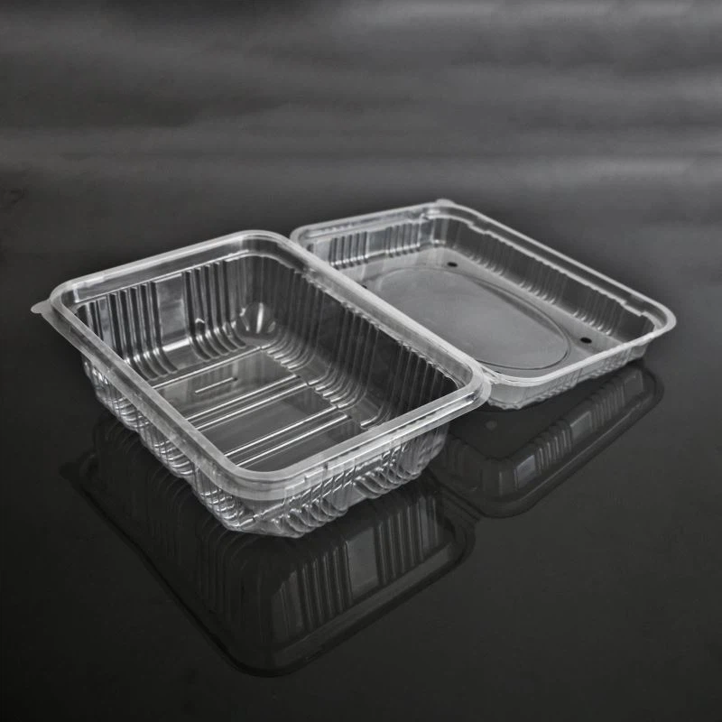 Kotak Buah Clamshell Berlubang