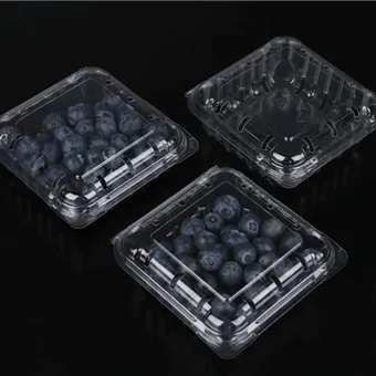 Kemasan Blueberry Clamshell Kotak Kemasan Buah Potong Segar Kemasan Buah Kemasan Wadah Buah Blueberry Clamshell